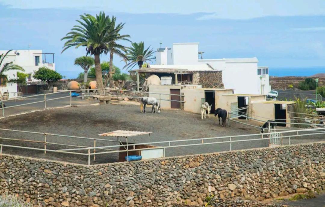 Casa Rural Yeyo En El Crater Del Volcan Tinguaton Exterior photo